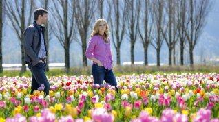 Online film Tulipány pro Rose