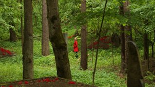 Online film Die Blumen von gestern