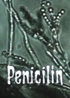 Online film Penicilín
