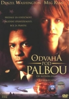 Online film Odvaha pod palbou