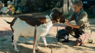 Online film Les vétos