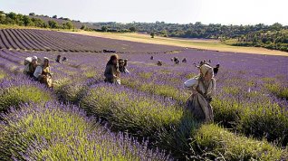 Online film Parfém: Příběh vraha