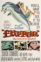 Online film Flipper