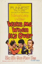Online film Wake Me When It's Over