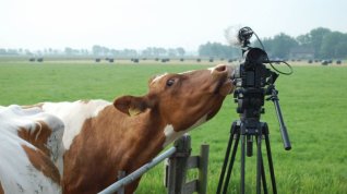 Online film Farmáři půdy