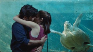 Online film Vorrei vederti ballare