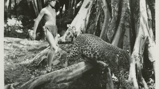 Online film Tarzan and the Jungle Boy