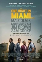 Online film Noc v Miami…