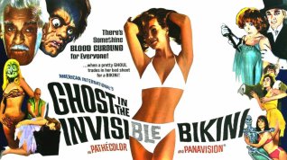 Online film The Ghost in the Invisible Bikini