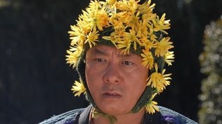 Online film Achilles a želva