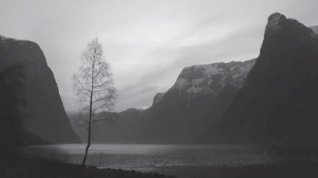 Online film Fjord