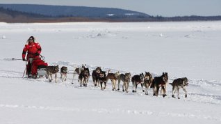 Online film Dog Sled Man - The Editarod Ajaska