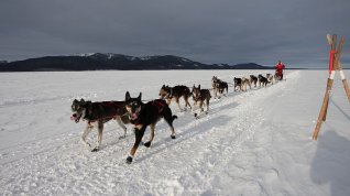 Online film Dog Sled Man - The Editarod Ajaska