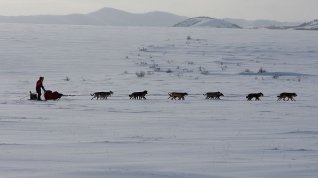 Online film Dog Sled Man - The Editarod Ajaska