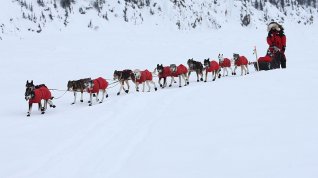 Online film Dog Sled Man - The Editarod Ajaska