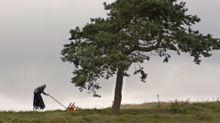 Online film Kouzelný strom