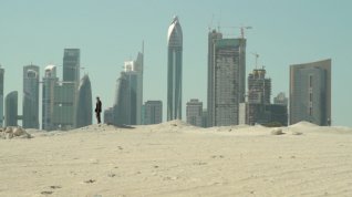 Online film Dubaï flamingos