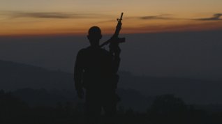 Online film Cartel Land