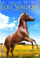 Online film Lost Stallions: The Journey Home