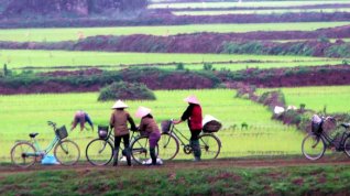 Online film Ze Saigonu na Thajské ostrovy Similan