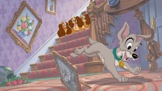 Online film Lady a Tramp II - Scampova dobrodružství