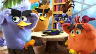 Online film Angry Birds ve filmu