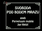Online film Svoboda pod bodem mrazu aneb perpetum mobile Eskymo Welzl
