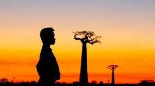Online film Baobaby mezi zemí a mořem