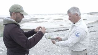 Online film Kanadské národní parky: Souostroví Mingan - ukrytý poklad