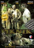 Online film Piknik