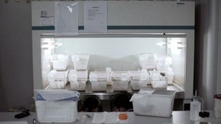 Online film DNA: Sny a realita