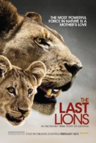 Online film Poslední lvi