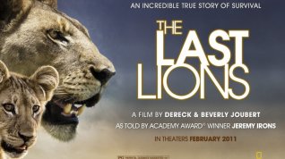Online film Poslední lvi