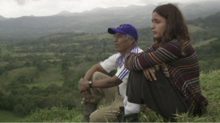 Online film Paraísos artificiales