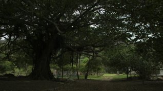 Online film Paraísos artificiales