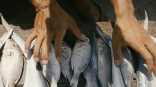 Online film Une barque sur l'océan