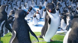 Online film Happy Feet 2
