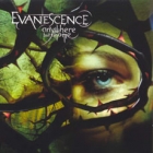 Online film EVANESCENCE - Anywhere But Home