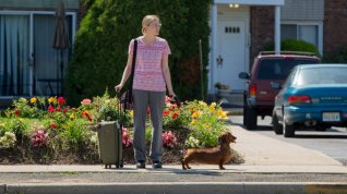 Online film Wiener-Dog