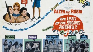 Online film The Last of the Secret Agents?