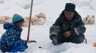 Online film Une année polaire