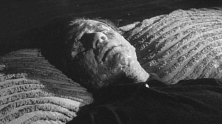 Online film Curse of the Fly