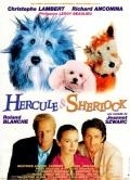 Online film Hercule a Sherlock