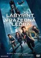 Online film Labyrint: Vražedná léčba