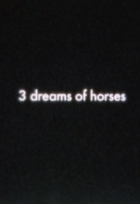 Online film 3 koňské sny