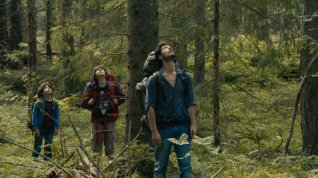Online film Dans la forêt
