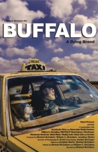 Online film Buffalo