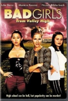 Online film Bad Girls from Valley High