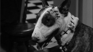 Online film Frankenweenie