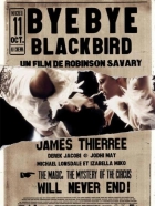 Online film Sbohem, černý ptáku!